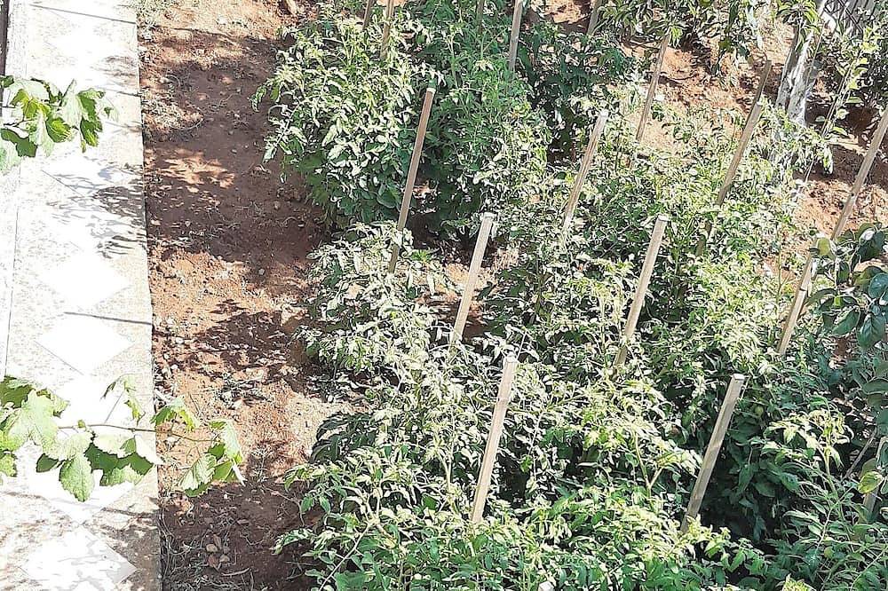 Εξοχικό για 5 άτομα in Αλεξανδρούπολη, Έβρου