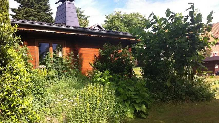 Filter.pet.vacation_home für 4 Personen, mit Terrasse und Garten in Edertal - 2