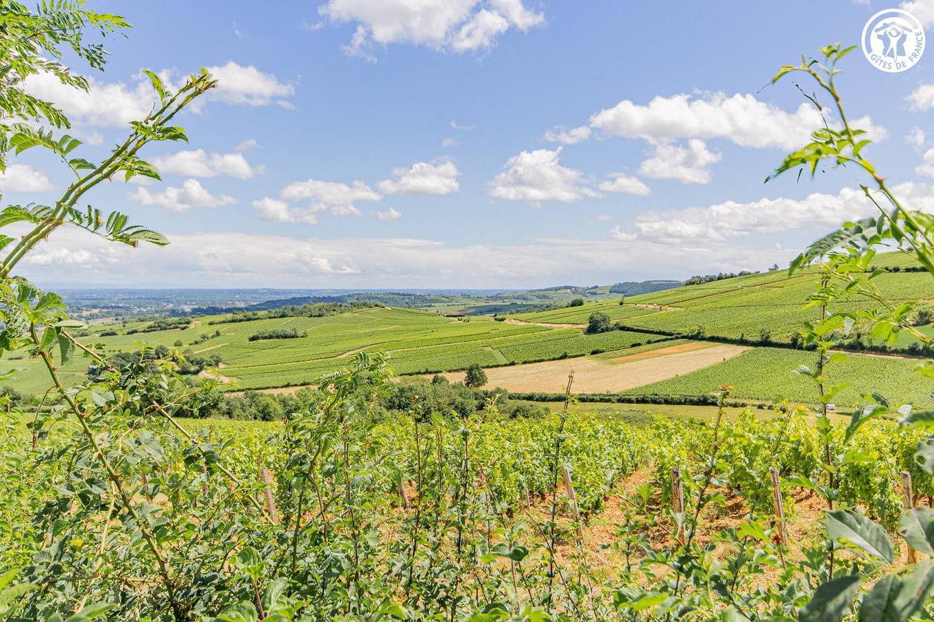Les Murgers in Prissé, Région de Mâcon