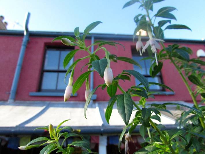 B&b for 3 people, with garden and terrace as well as view in Gower