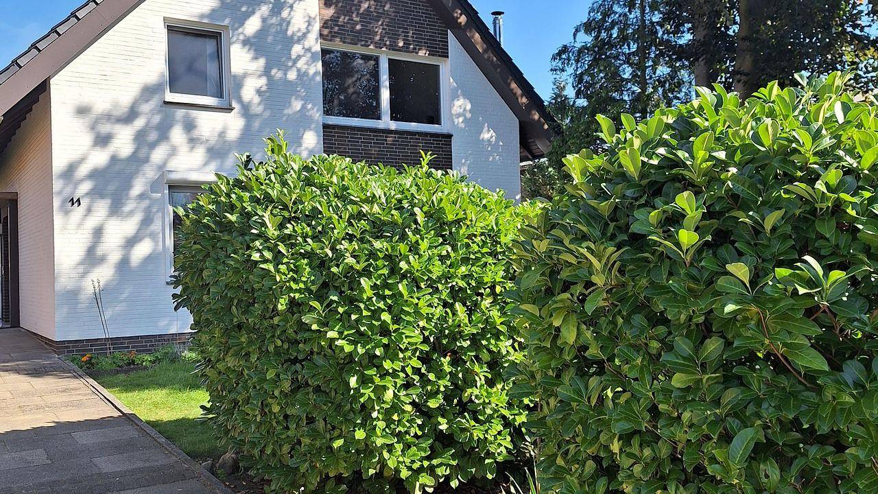 Ganze Ferienwohnung, Ferienwohnung für 4 Personen (80 m²) in Winsen (Luhe) in Winsen (Luhe), Nordheide