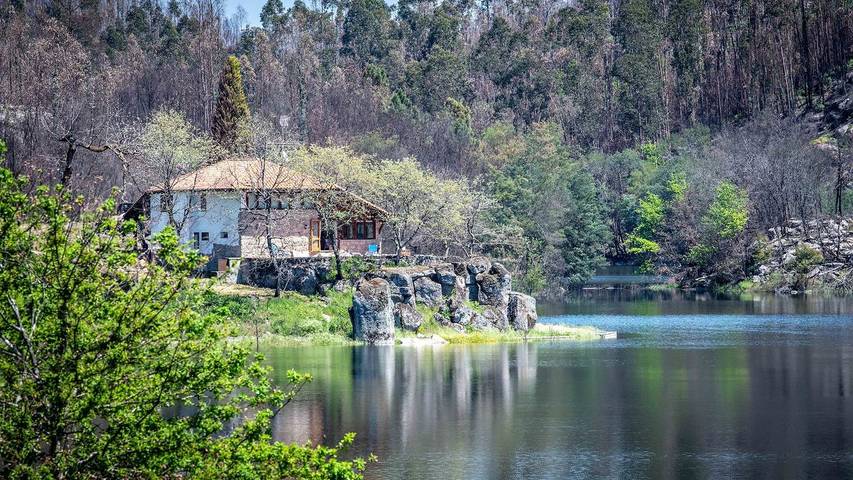 Casa de férias para 6 pessoas, com piscina e jardim em Distrito de Viseu