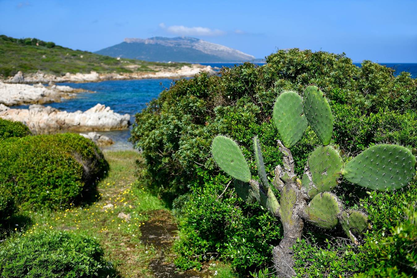 Villa Nodu Pianu Verde in Nodu Pianu, Golfo Aranci