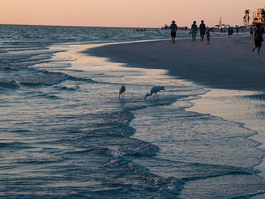 Zurück auf Vrbo !!--- Super Cute Cottage --- Privat & Entspannend - Walk / Bike zum Strand in Sarasota County