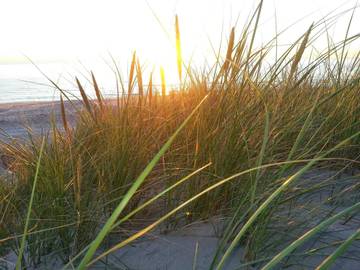 Ferienhaus für 6 Personen in Hirtshals, Tannisbucht, Bild 3