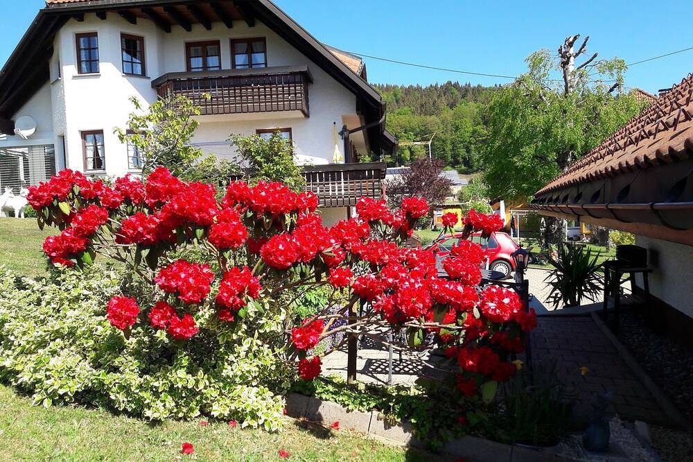 Ganze Wohnung, Ferienwohnung/App. für 2 Gäste mit 90m² in Dachsberg (Südschwarzwald in Dachsberg, Südschwarzwald