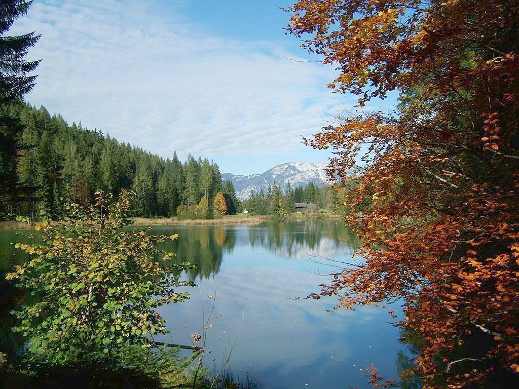 Room for 4 people with lake view in Vorderstoder, Kirchdorf an der Krems (Bezirk)