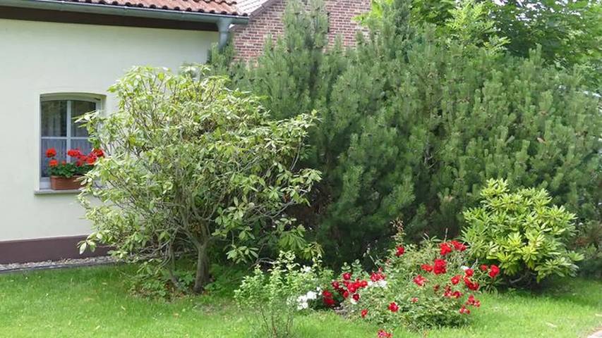 Ferienhaus für 8 Personen, mit Terrasse und Garten in Region Oder - Spree