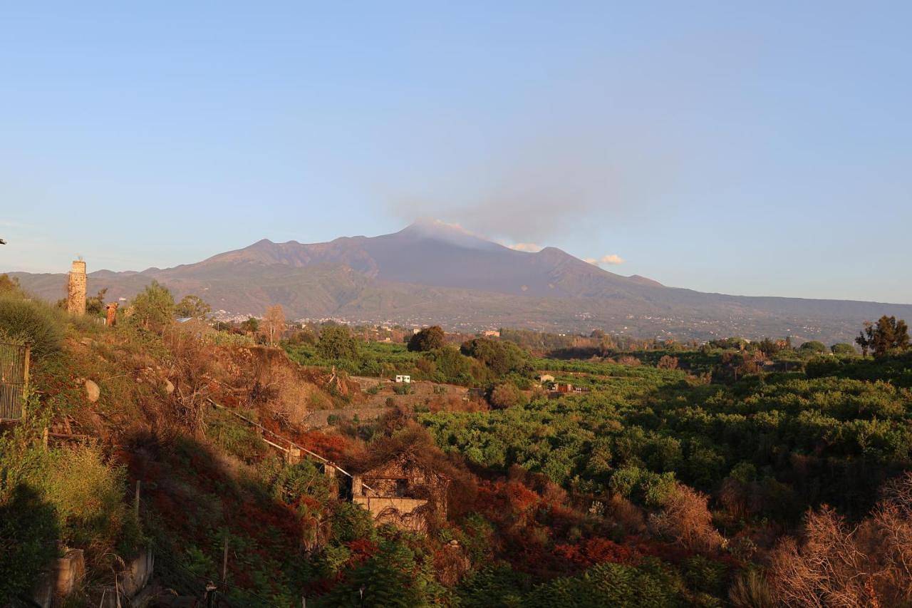 Il Pampaleone Glamping and Resort in Acireale, Catania e dintorni