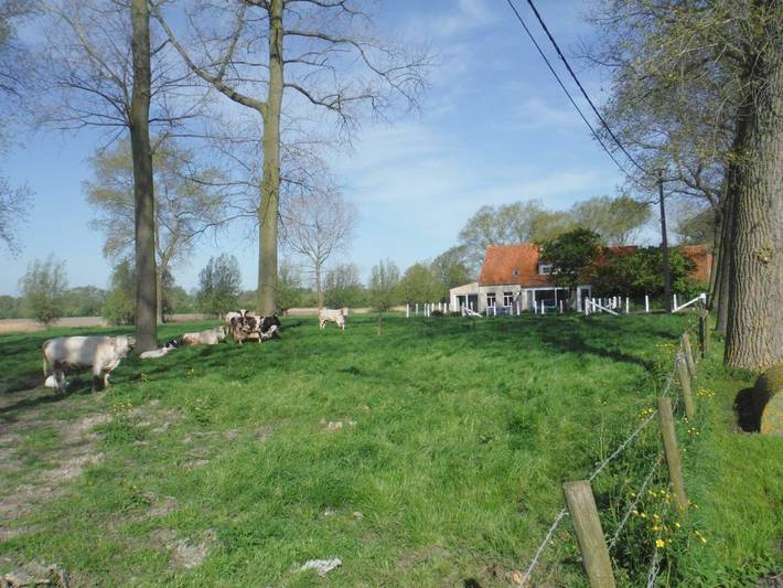 Ferienhaus für 7 Personen, mit Garten und Ausblick in Damme (Belgien) - 3