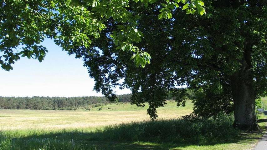 Ferienhaus für 7 Personen, mit Terrasse, mit Haustier in Fünfseen - 2
