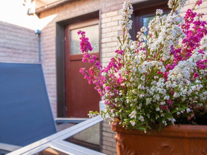 Ganze Ferienwohnung, Ferienwohnung im Souterrain - Ferienwohnung in Freest, Vorpommern Greifswald