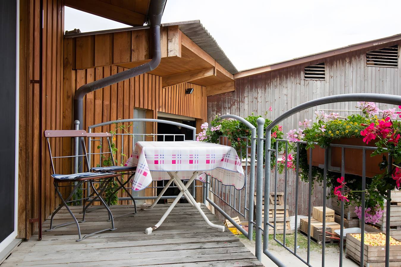 Entire studio, Apartment '30 sqm, 1 Living-Sleeping Room' with Balcony and Wi-Fi in Radolfzell am Bodensee, Landkreis Konstanz