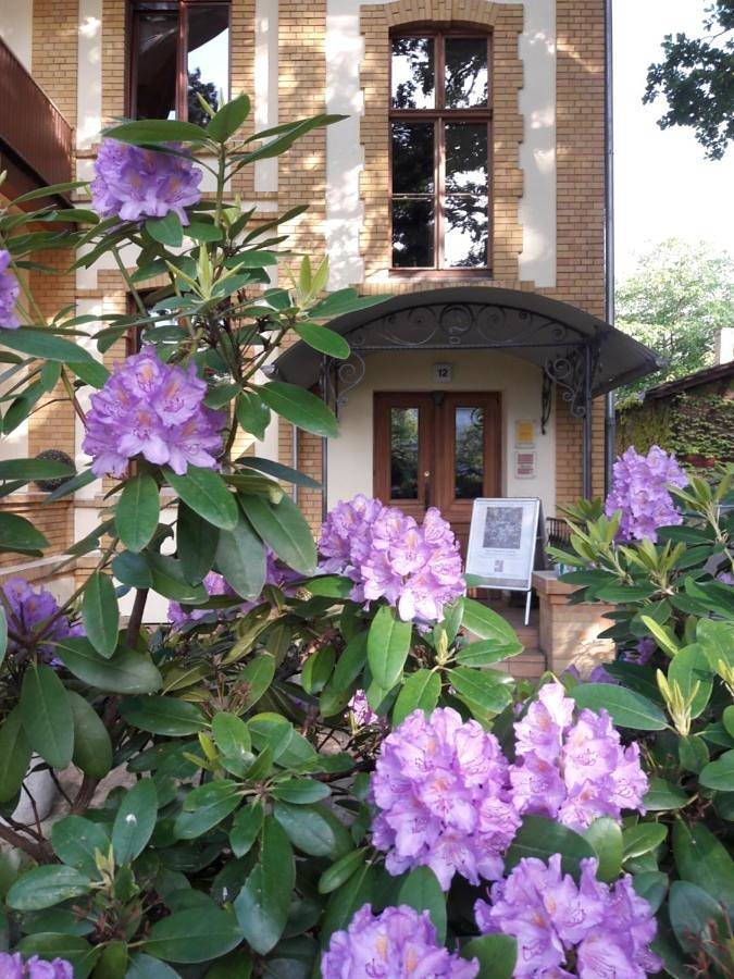 Hotel für 3 Personen, mit Ausblick und Terrasse in Steglitz-Zehlendorf - 3