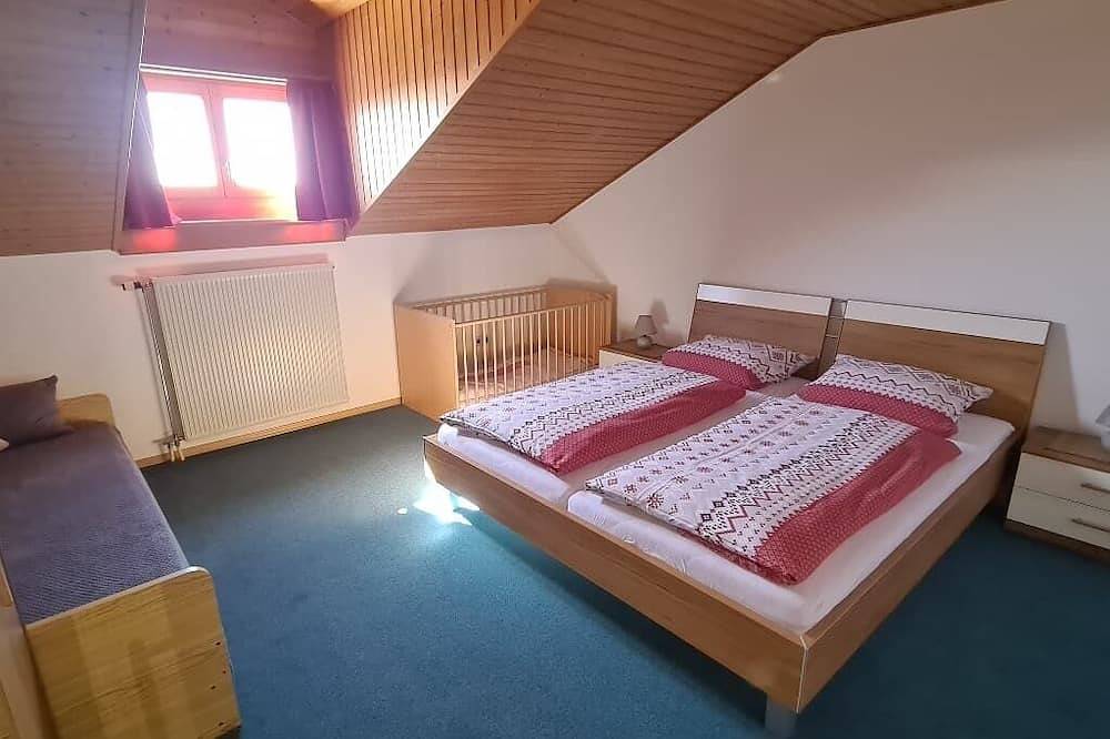 Ganze Wohnung, Große 100m2-Ferienwohnung im Dachgeschoss für 6 Personen in Grainet, Šumava Mountains