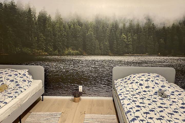Appartement entier, Exclusive 2-room loft apartment in Titisee-Neustadt in Neustadt (Titisee-Neustadt), Titisee-Neustadt