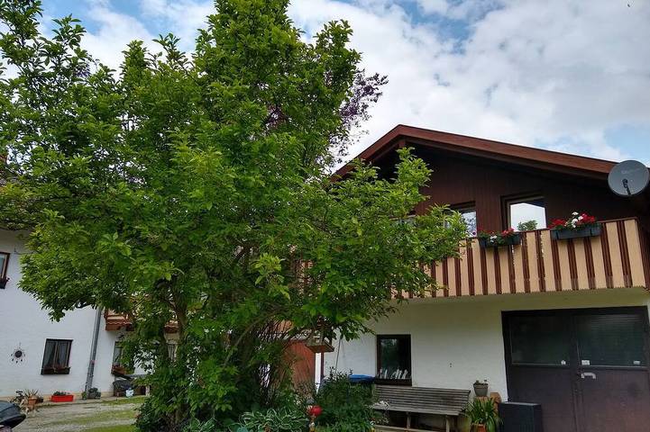 Wohnung/Ferienhäuschen in Eggstätt, Chiemsee