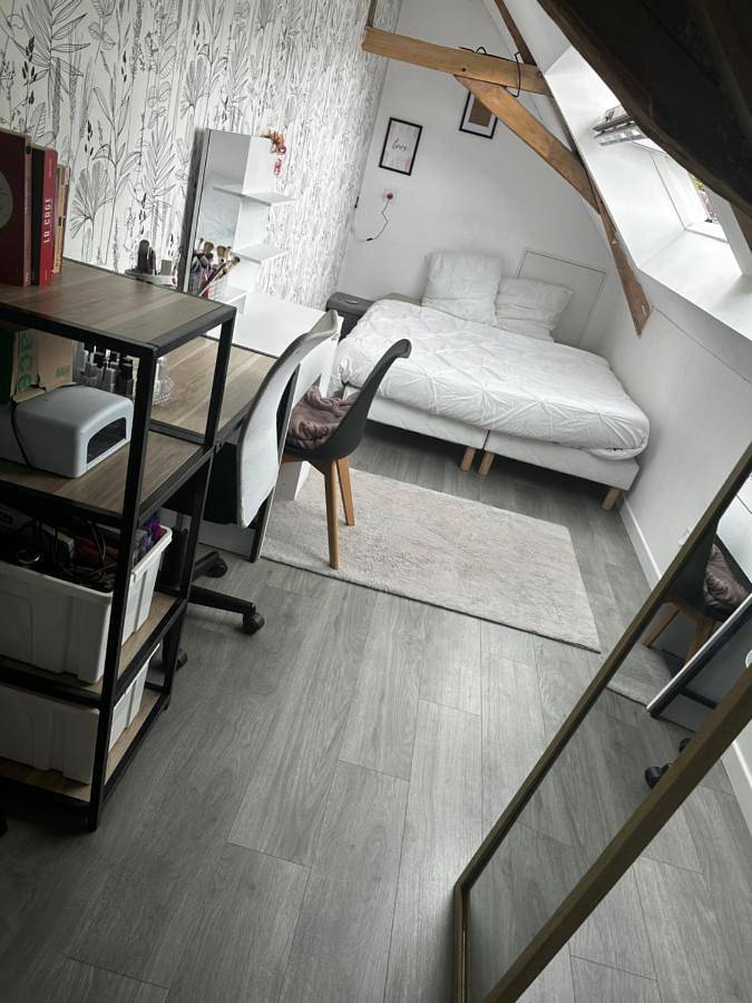 Gîte pour 2 personnes, avec terrasse et jardin à Saint-Ouen-en-Belin - 4