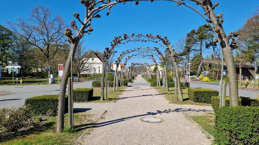 Bungalow für 3 Personen, mit Terrasse, mit Haustier in Baabe - 4