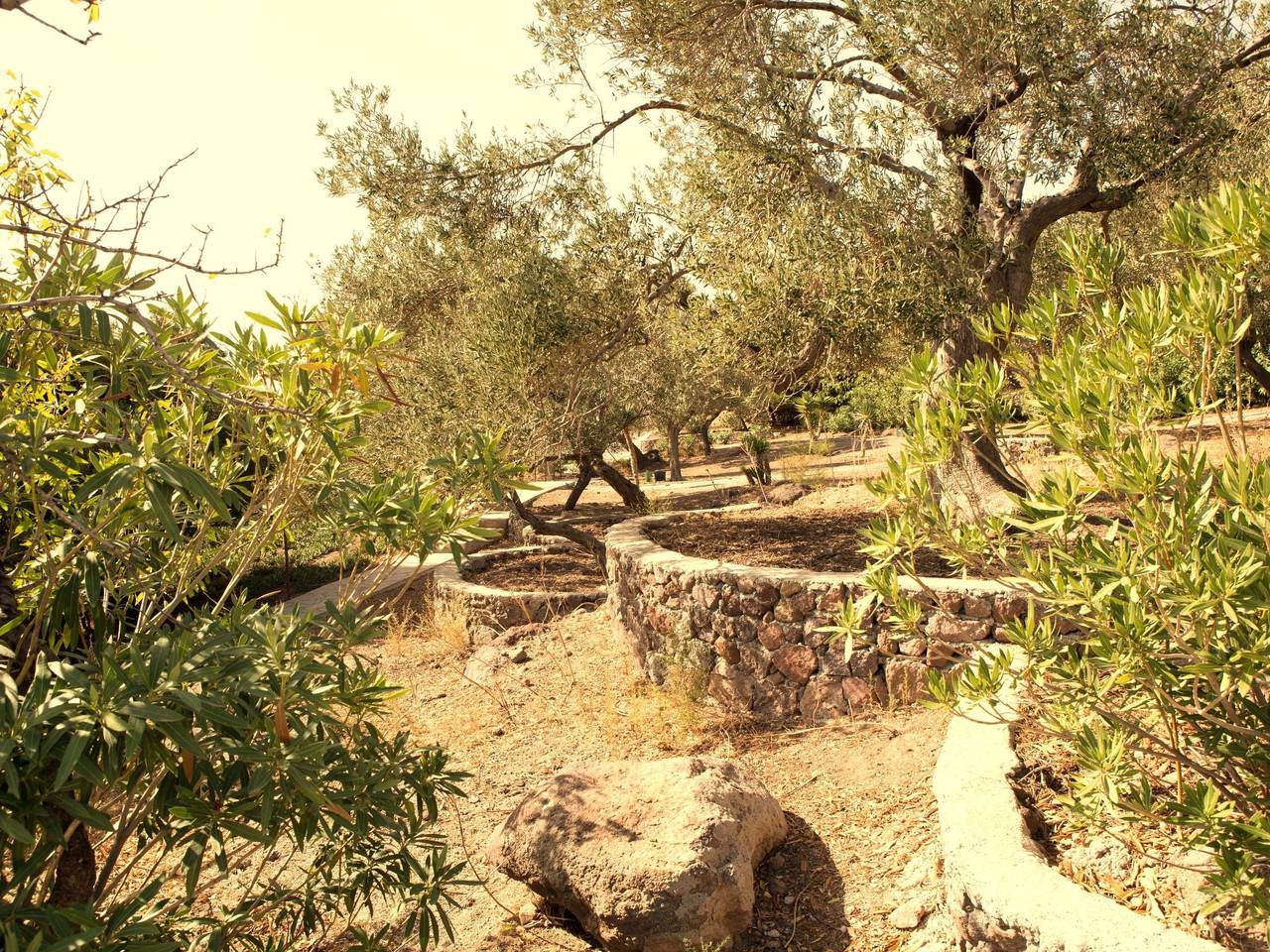 Assos Sivrice Gästehaus in Ayvacik, Región del Mármara