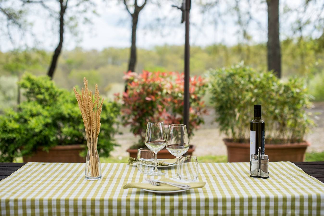 Entire apartment, Apartment 'Faetino - Gallo' with Shared Pool, Private Garden and Wi-Fi in Colle di Val d'Elsa, Siena Province