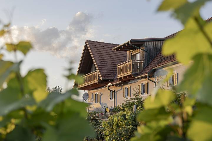Bauernhof für 4 Personen, mit Garten und Terrasse in der Oststeiermark