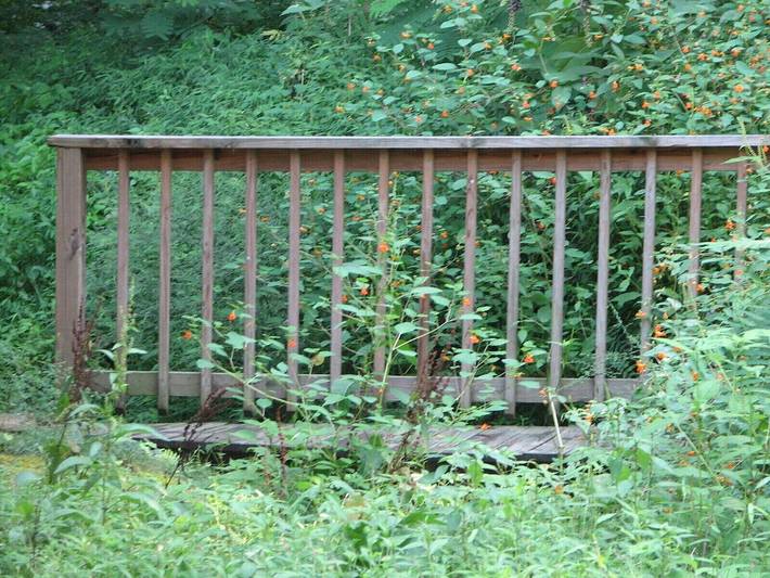 Chalet for 4 people, with yard and hot tub in Tennessee