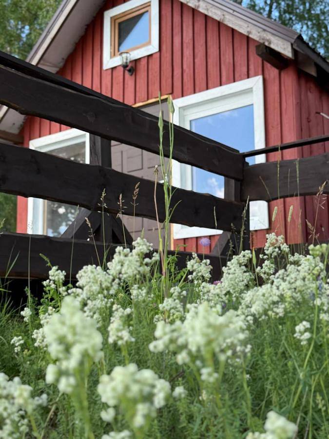 Pakuļu kūrorts - namiņš bez elektrības in Gmina Saldus, Kurlandia