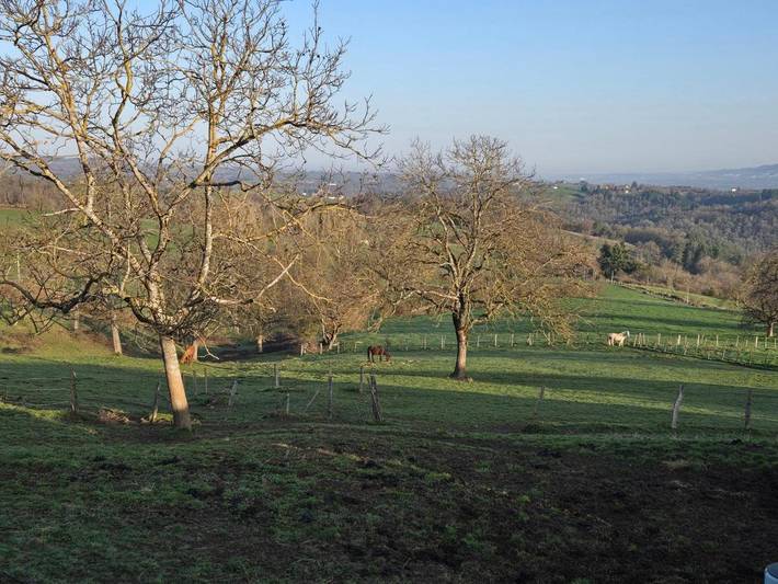 Location de vacances pour 6 personnes, avec jardin, animaux acceptés à Domaize - 2