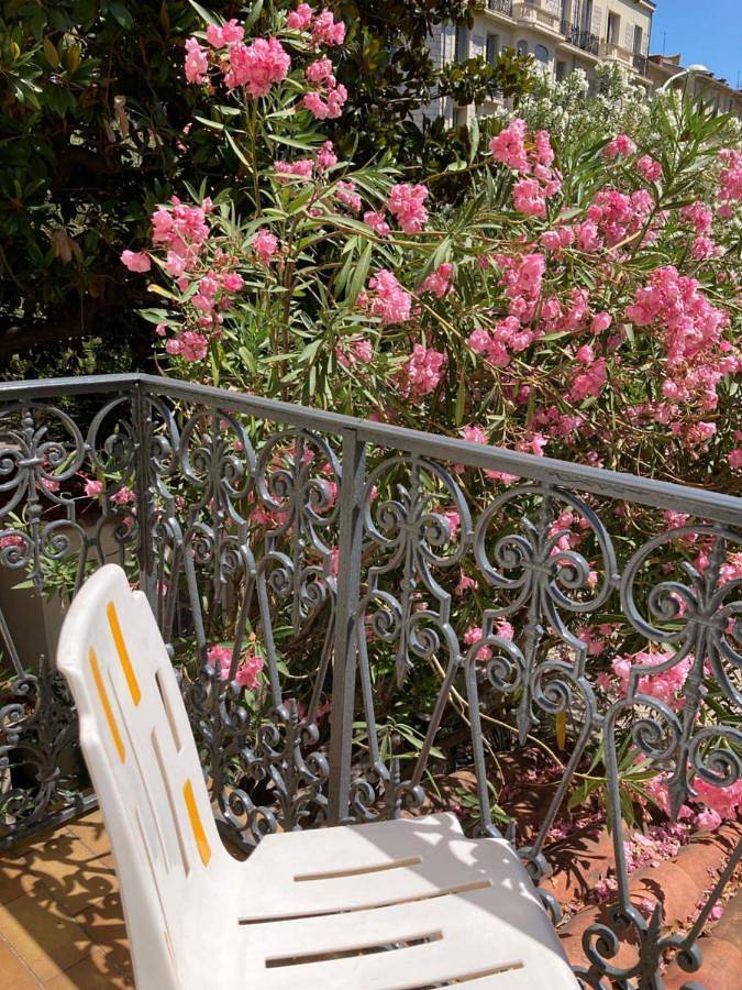 Hôtel pour 3 personnes, avec jardin et terrasse dans Gare de Nice ville - 4