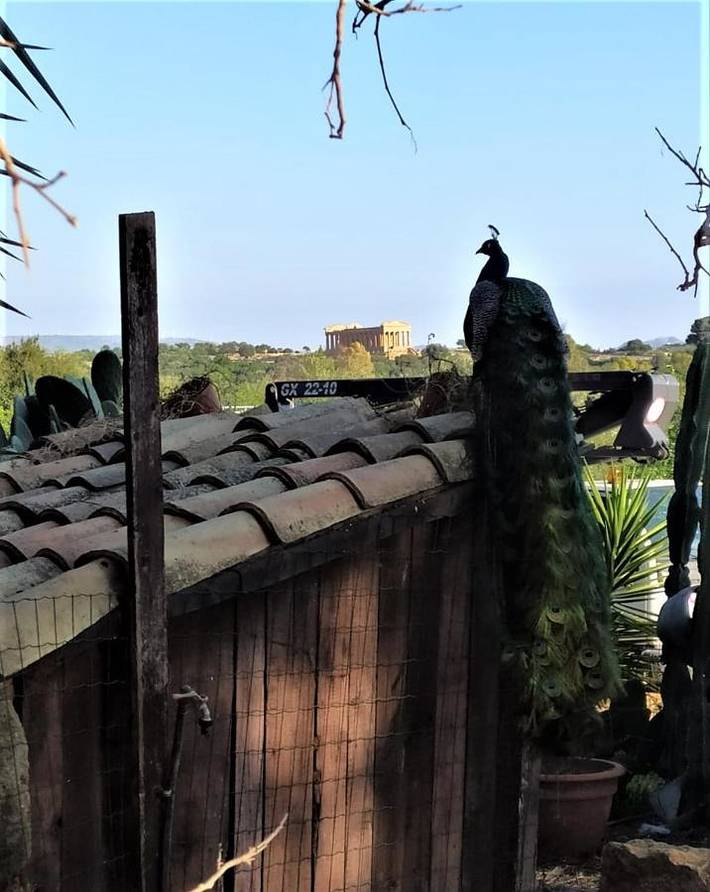 Agriturismo per 2 persone, con Terrazza e Giardino nonché Piscina a Agrigento