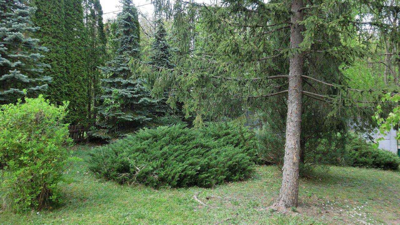 Ferienhaus für 5 Personen (70 m²) in Leányfalu in Leanyfalu, Parco Nazionale Duna Ipoly