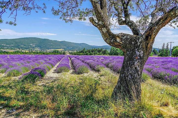 Gîte pour 12 personnes, avec jardin à Allemagne-en-Provence