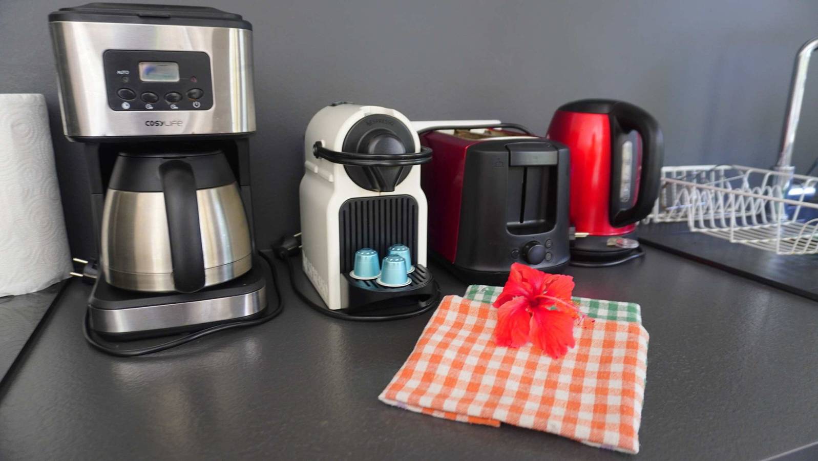 Moorea - Waterfall Pool Coconut 1 in Mo'orea