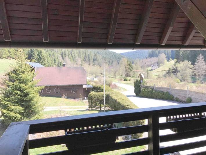 Hotel für 2 Personen, mit Terrasse und Garten sowie Ausblick in Vöhrenbach - 4