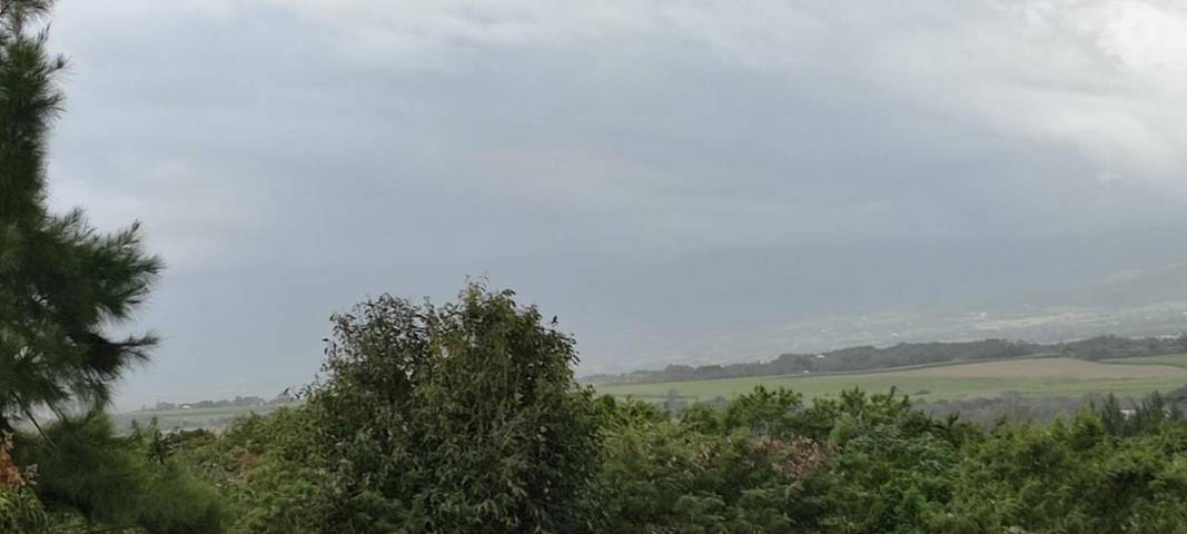 Gîte pour 4 personnes, avec vue et terrasse à Bras-Panon - 3