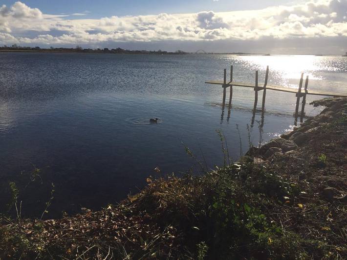 Ferienhaus für 4 Personen, mit Meerblick und Garten auf Fehmarn - 2
