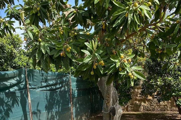 Location de vacances pour 4 personnes, avec Terrasse et Jardin dans Biniali