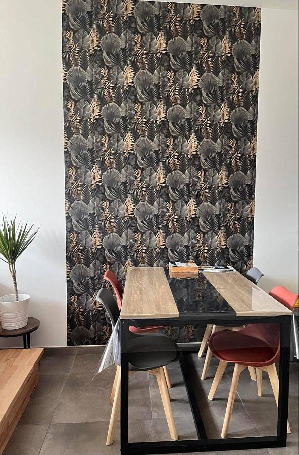 Location de vacances pour 4 personnes, avec terrasse et jardin à Lens - 4