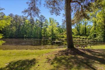 Vacation Rental for 12 Guests in North Augusta, South Carolina, Picture 2