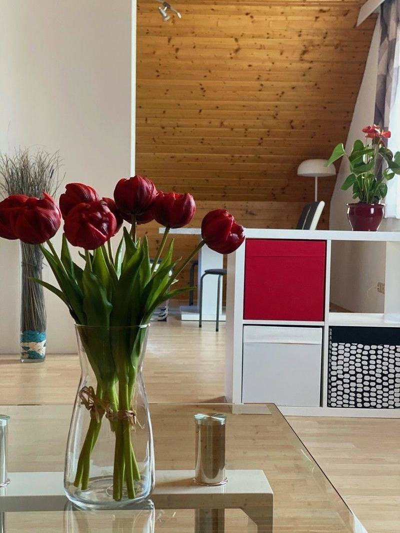 Ganze Ferienwohnung, 73 m2 „Sauvignon Blanc" Dg, Ausblick in Südoststeiermark, Bad Radkersburg