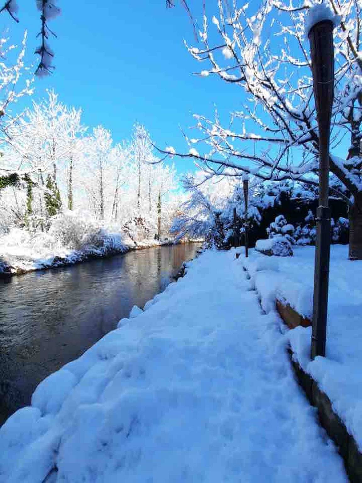 Estudio entero, Entre ciudad y campo - jardín con río in Plobsheim, Región de Estrasburgo