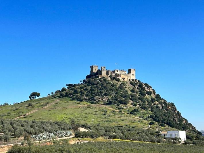 Location de vacances pour 6 personnes, avec piscine ainsi que jardin et vue, animaux acceptés à Almodóvar del Río - 4