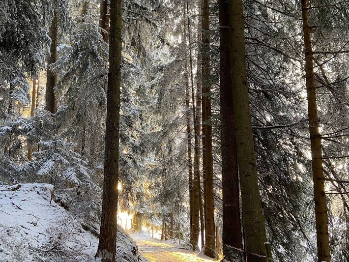 Bauernhaus für 8 Personen, mit Garten und Ausblick sowie Terrasse, kinderfreundlich in Vorarlberg - 3