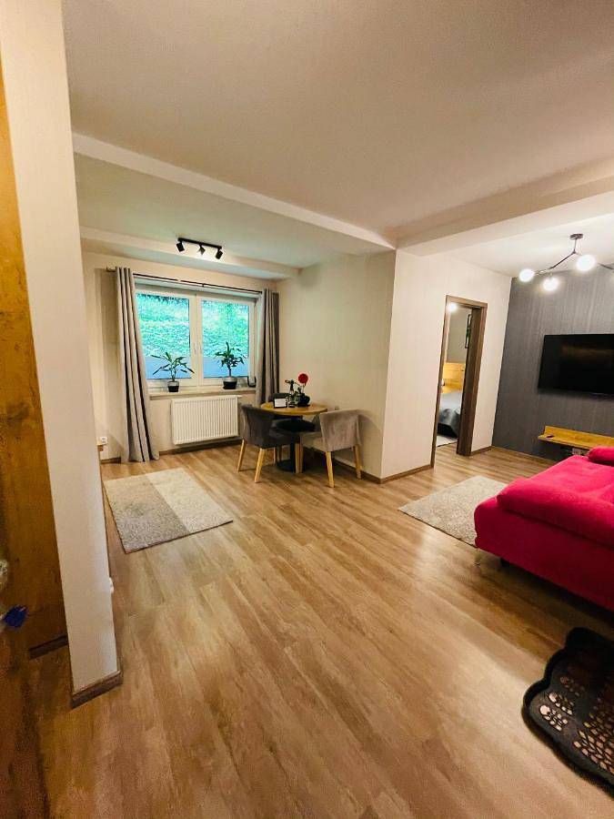 Cały apartament, One-Bedroom Apartment in Porąbka, Śląsk