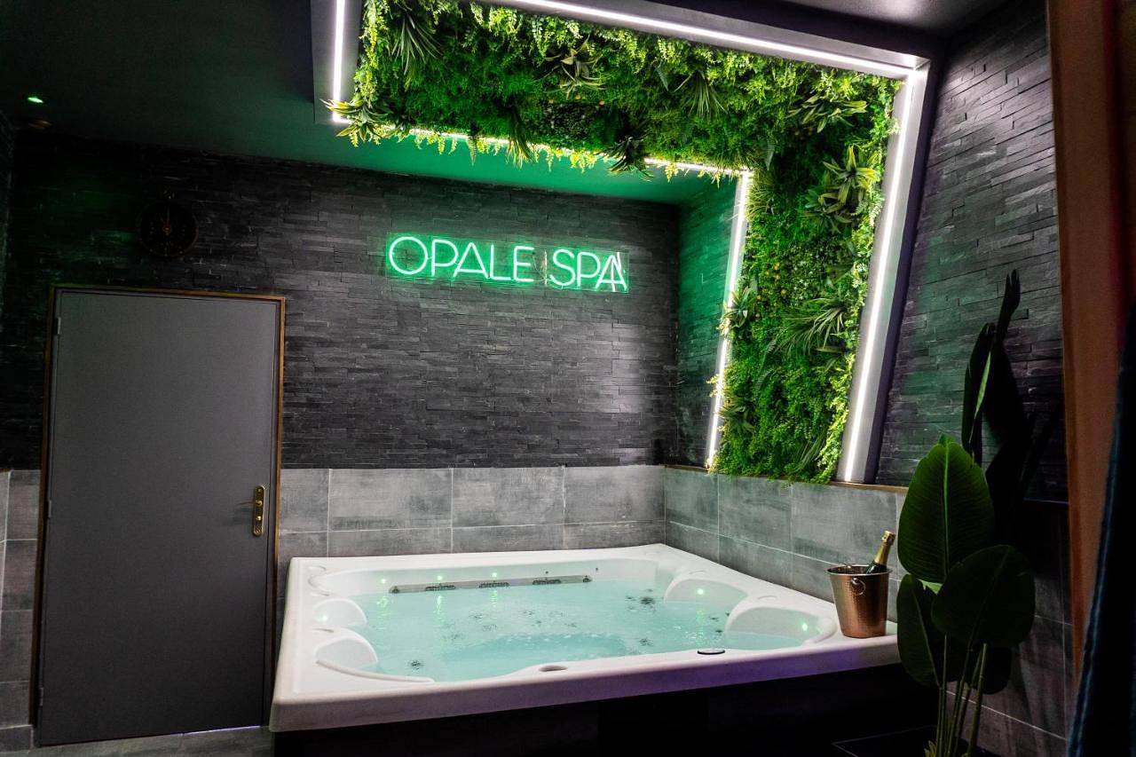 Appartement entier, Opale Spa - Jacuzzi et sauna privatifs in Mons-en-Barœul, Région de Lille
