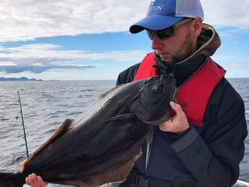 Feriehus til 10 Personer i Senja, Sifjord, Bilde 4