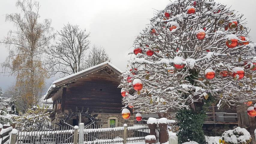 Ferienhaus für 5 Personen, mit Balkon in Arrach - 3