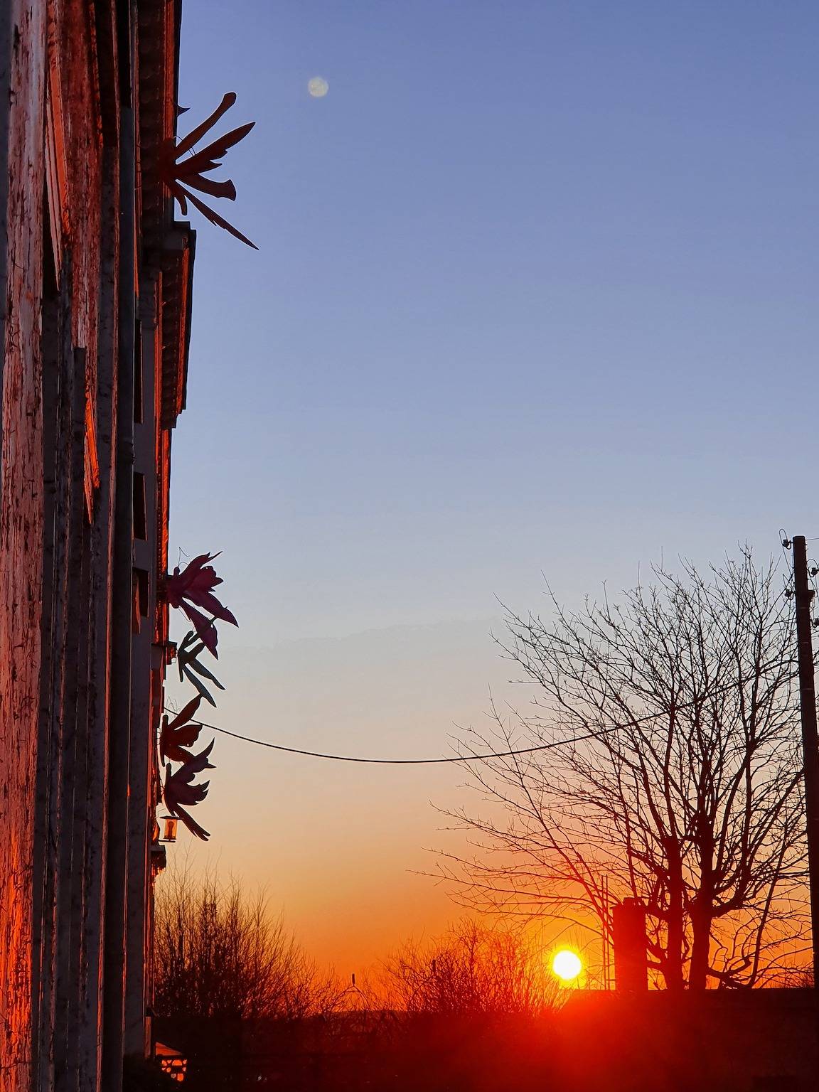 Kunstgut Patapaya in Neukalen, Mecklenburgische Seenplatte