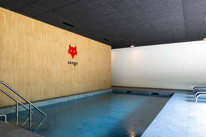 Villa für 18 Personen, mit Terrasse und Sauna sowie Garten, mit Haustier in Belgien - 2